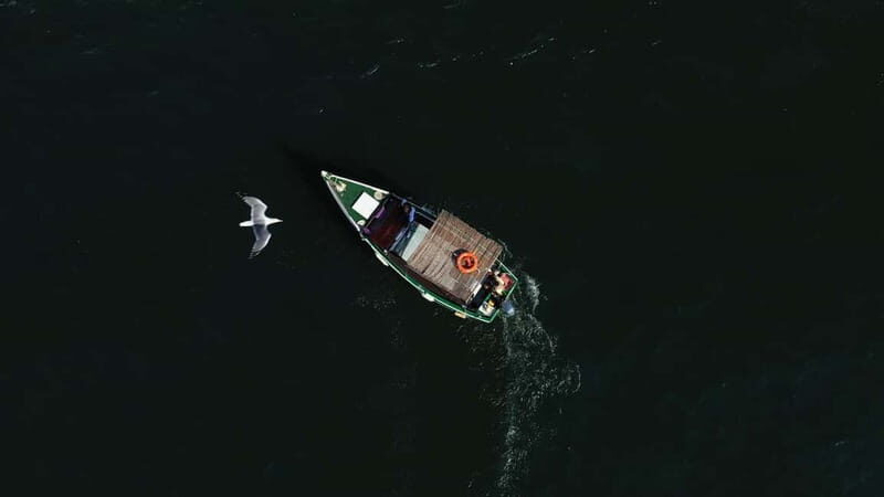 Ria Formosa: Armona and Culatra Islands 3-Hour Boat Tour - Summary