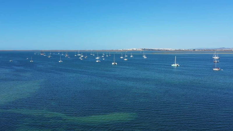Ria Formosa: Armona and Culatra Islands 3-Hour Boat Tour - Why This Tour Works