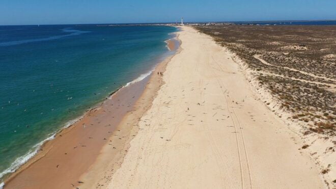 Ria Formosa: Armona and Culatra Islands Boat Tour - Review Summary