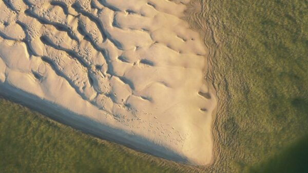 Ria Formosa: Armona and Culatra Islands Boat Tour - The Sum Up
