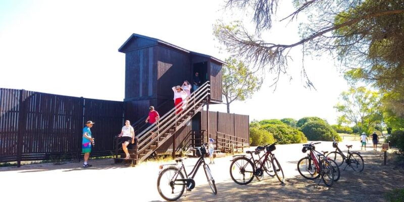 Ria Formosa: Guided Bike Tour (3h), Início na Quinta do Lago - Authentic Feedback from Past Participants