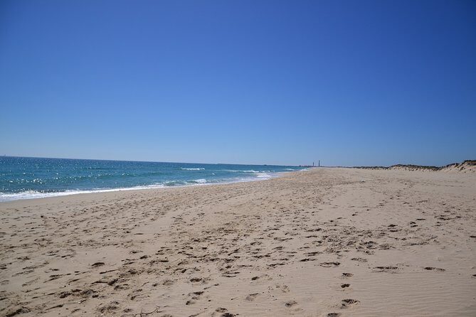 Ria Formosa & Islands : 2h00 Private Tour of Ria Formosa - Final Thoughts