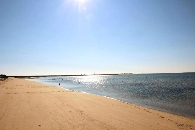Ria Formosa Luxury Boat - 5h Private Boat Tour - Meeting Point Information