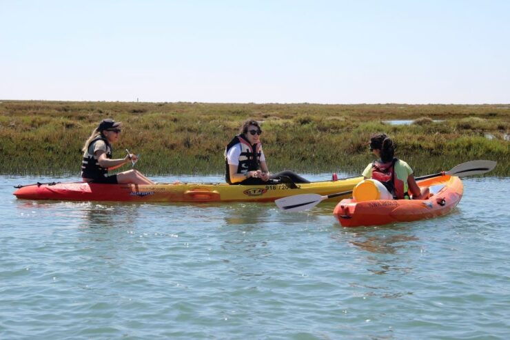 Ria Formosa National Park: Kayak Trip - Experience Highlights