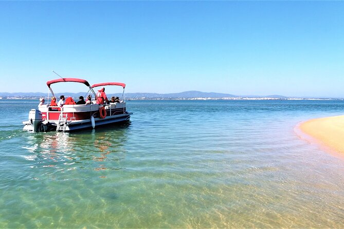 Ria Formosa Natural Park and Islands Boat Cruise From Faro - Tour Highlights