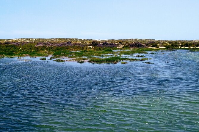 Ria Formosa Private 6 Hours Guided Tour in Classic Boat, Olhão. - Meeting and Departure