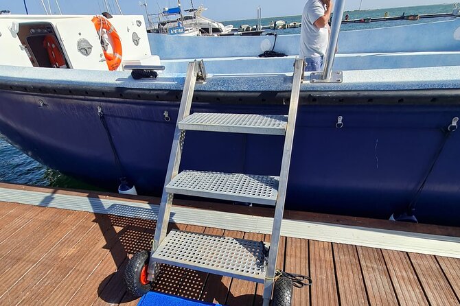 Ria Formosa Private 6 Hours Guided Tour in Classic Boat, Olhão. - Reviews and Ratings