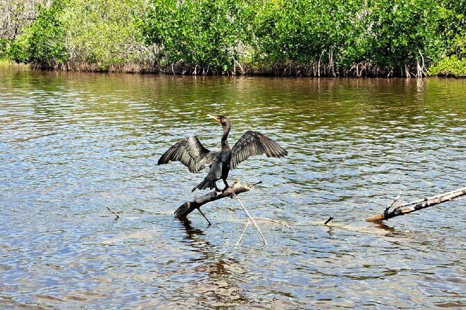 Ría Lagartos Biosphere Reserve & Las Coloradas Adventure - FAQ