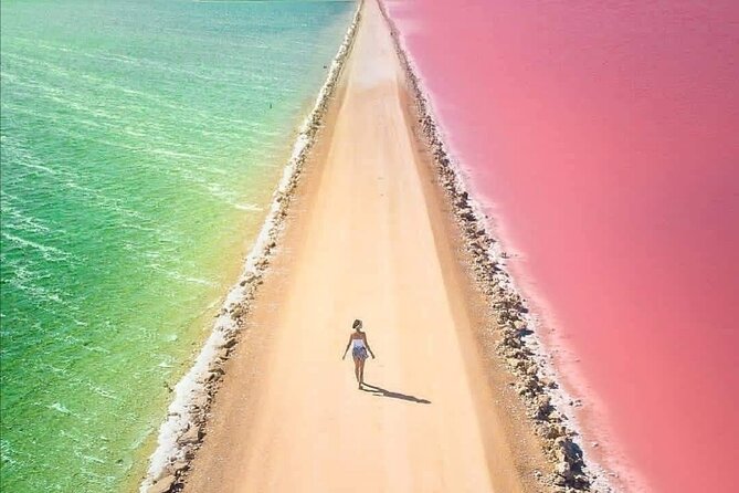 Ria Lagartos, Coloradas & Cancunito Beach From Merida - Cancellation Policy