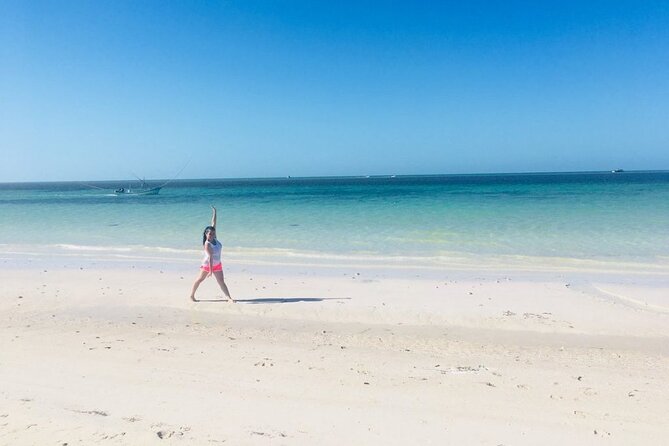 Ria Lagartos, Coloradas & Cancunito Beach From Merida - The Sum Up