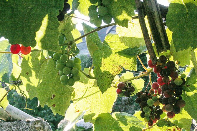 Rias Baixas PRIVATE Shore Tour - Booking Information
