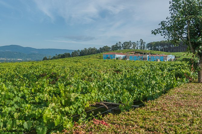 Rías Baixas Private Tour From Santiago De Compostela - Cancellation Policy and Pricing