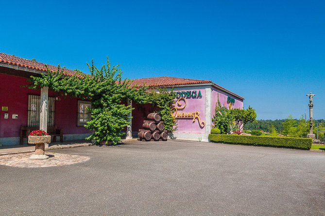 Rías Baixas Private Tour With Wine Tasing, Food, Mussels Boat and Pickup - Overview and Activities