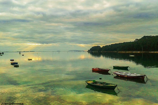 Rías Baixas Private Tour With Wine Tasing, Food, Mussels Boat and Pickup - Common Questions