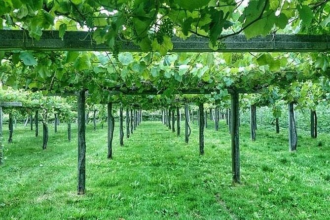 Rías Baixas Tour - Mixed Feedback