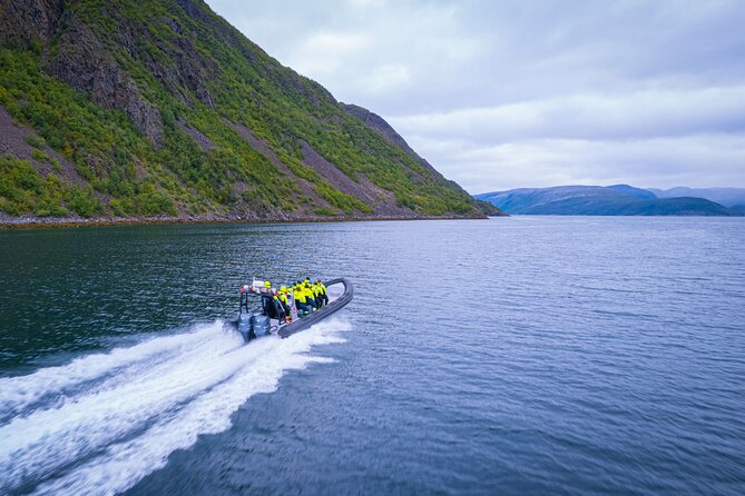 RIB Expedition to Seiland National Park - 3.5h - Inclusions