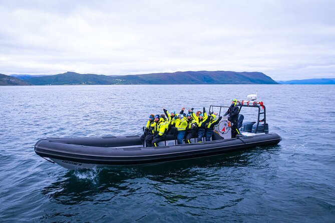 RIB Expedition to Seiland National Park - 3.5h - Meeting Point