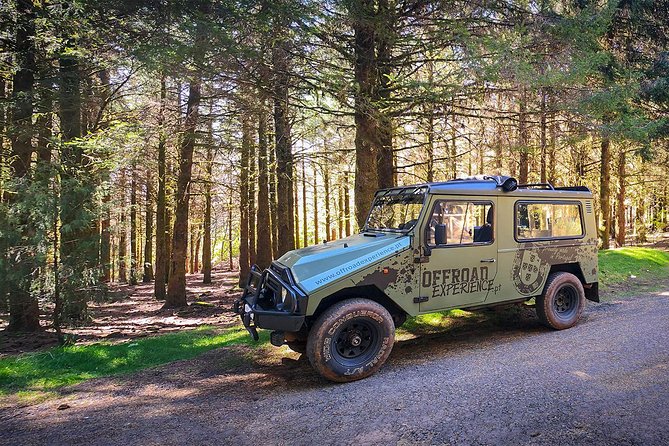 Ribeira Da Janela Tunnels and Waterfalls Tour - Traveler Photos and Reviews