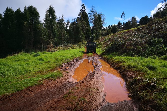 Ribeira Da Janela Tunnels and Waterfalls Tour - The Sum Up