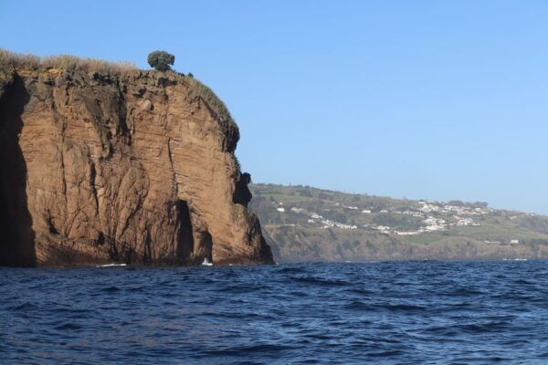 Ribeira Grande: Coastline Boat Tour |Capelas - Free Time