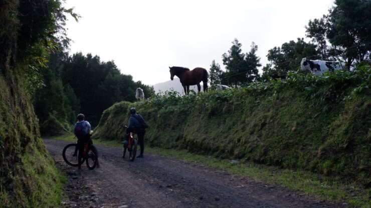Ribeira Grande: Guided E-Bike Tour - Booking Details