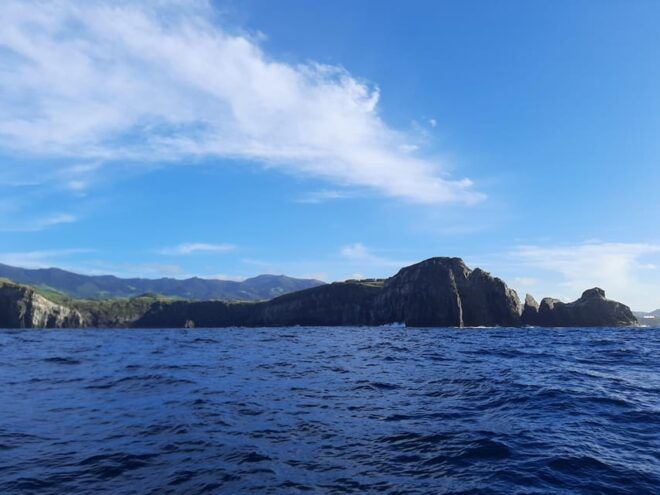 Ribeira Grande: Ocean Safari |Sta. Eiria Bay - What to Bring and Important Information