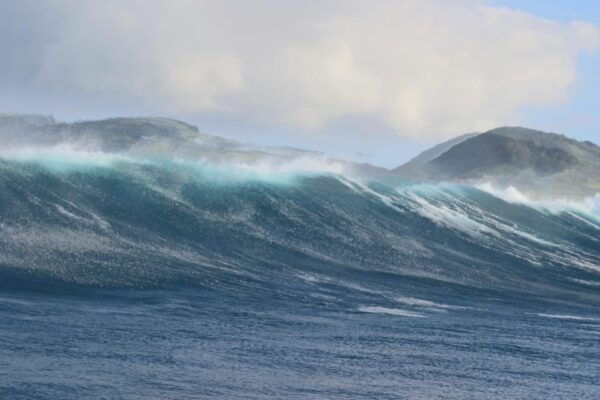Ribeira Grande: Ocean Safari |Sta. Eiria Bay - Frequently Asked Questions