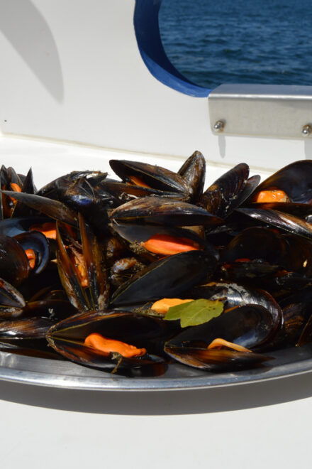 Ribeira: Mussel Boat Trip With Mussel Tasting - Important Meeting Information