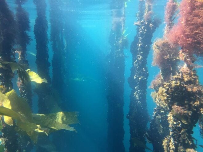 Ribeira: Mussel Boat Trip With Mussel Tasting - Navigating to the Departure