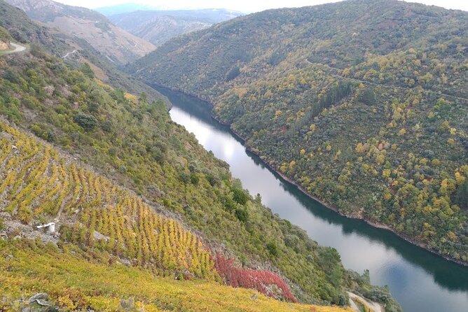 Ribeira Sacra Cruise Through the Sil and Allariz Canyons - Exploring the Allariz Canyon by Boat