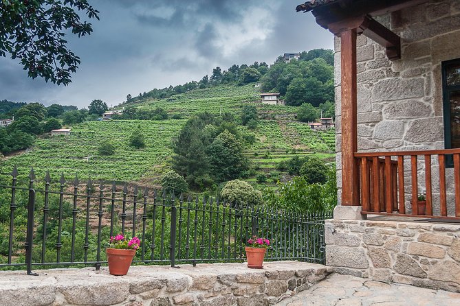 Ribeira Sacra, "Heroic Wines" Private Tour From Santiago - Itinerary