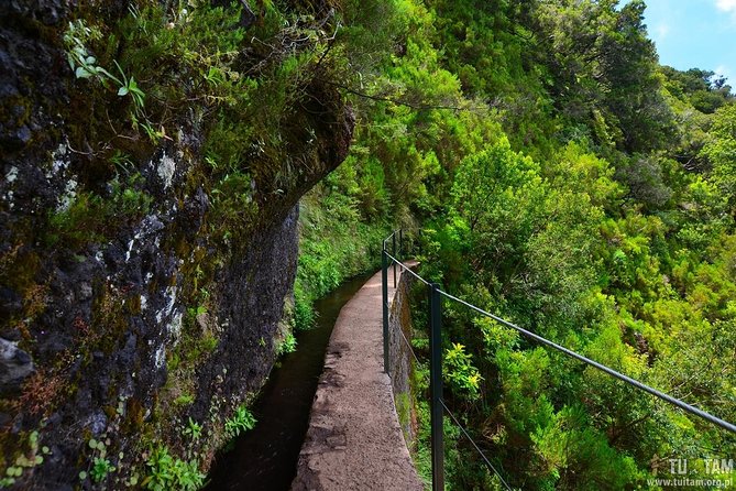 Ribeiro Frio - Location and Overview