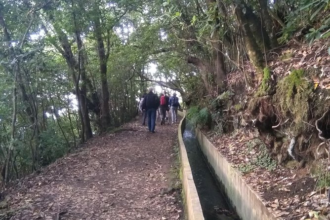 Ribeiro Frio - Portela - Best Time to Visit Ribeiro Frio - Portela