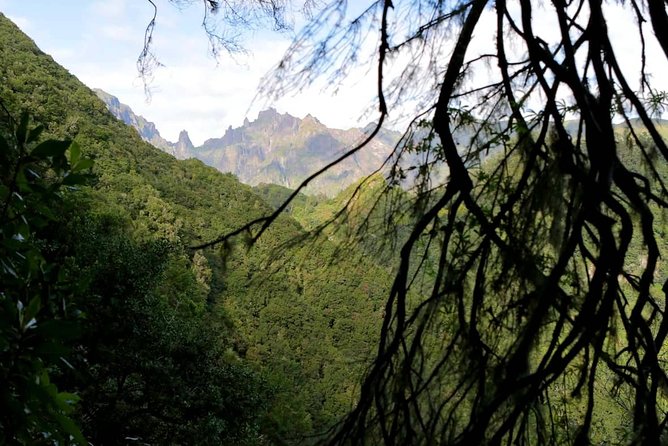 Ribeiro Frio - Portela - Hiking Trails in Ribeiro Frio - Portela