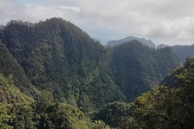 Ribeiro Frio - Portela - Restaurants and Dining Options in Ribeiro Frio - Portela