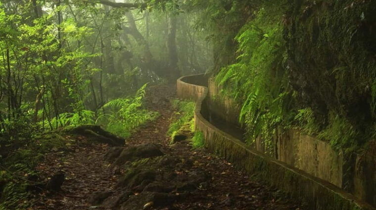Ribeiro Frio / Portela Full day hike - FAQs