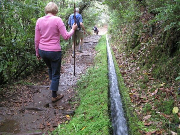 Ribeiro Frio / Portela Full Day Hike - Transportation Details
