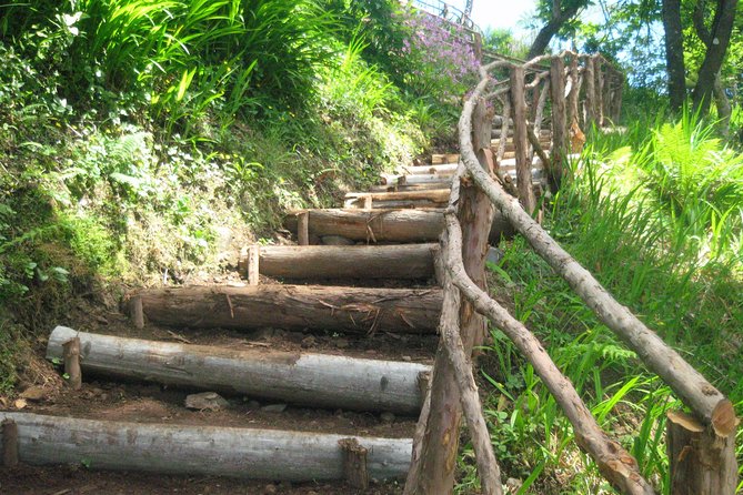 Ribeiro Frio - Portela (Full Day Walk) - Tour Overview