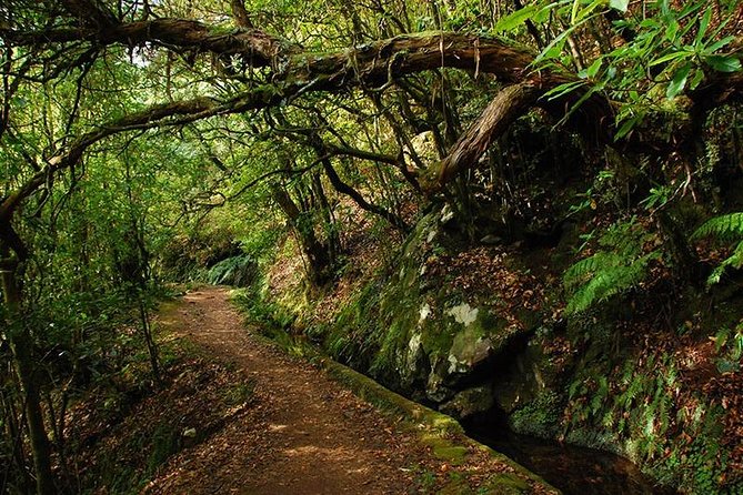 Ribeiro Frio - Portela (Full Day Walk) - Itinerary Highlights