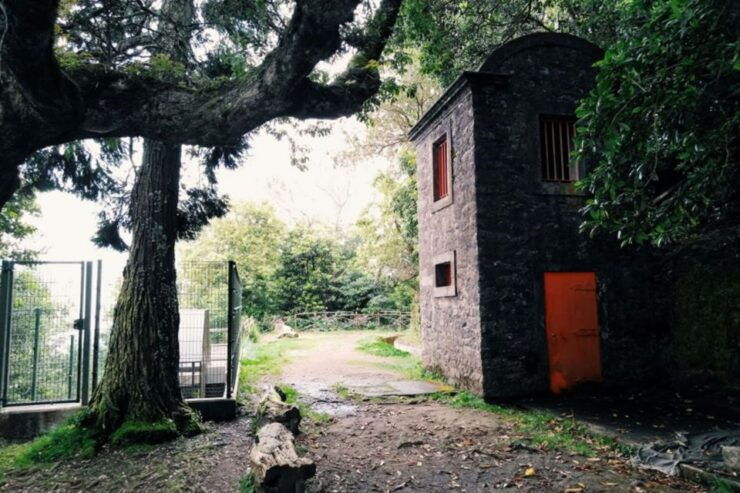 Ribeiro Frio - Portela - Levada Do Furado - Trail Details and Difficulty Level