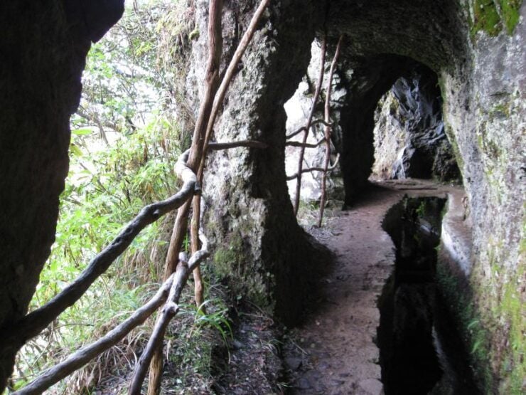 Ribeiro Frio / Portela - Levada Walk - Booking Details