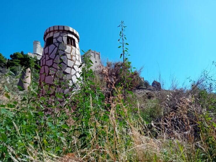Ribera Del Duero: 1 Day Wine Tour in English - Activity Details