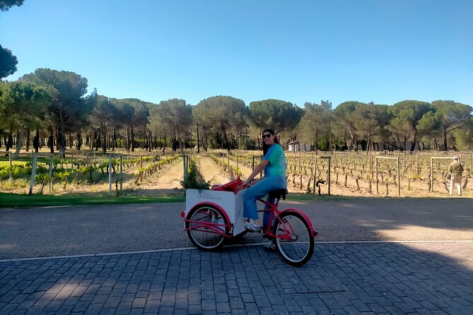 Ribera Del Duero 1 Day Wine Tour in English - Tour Highlights