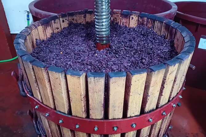 Ribera Del Duero 1 Day Wine Tour in English - The Sum Up