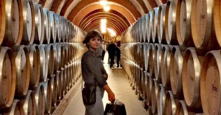 Ribera Del Duero 2 Wineries Tour With Winemaker Guide - Tour Details