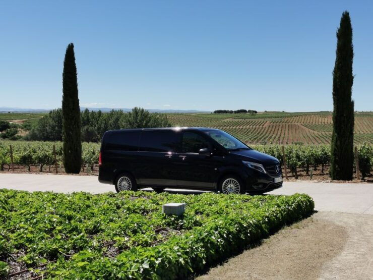 Ribera Del Duero 2 Wineries Tour With Winemaker Guide - Wine Experience