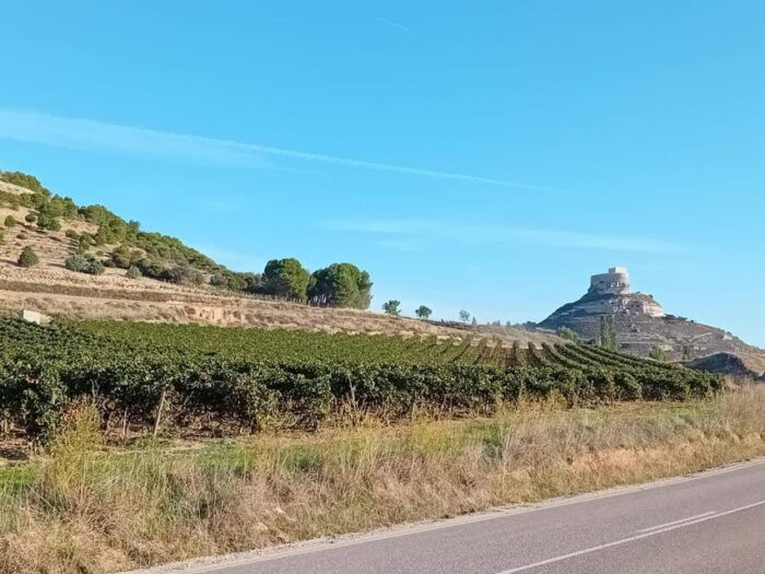 Ribera Del Duero: 2 Winery Visits and Transport From Madrid - Inclusions and Amenities