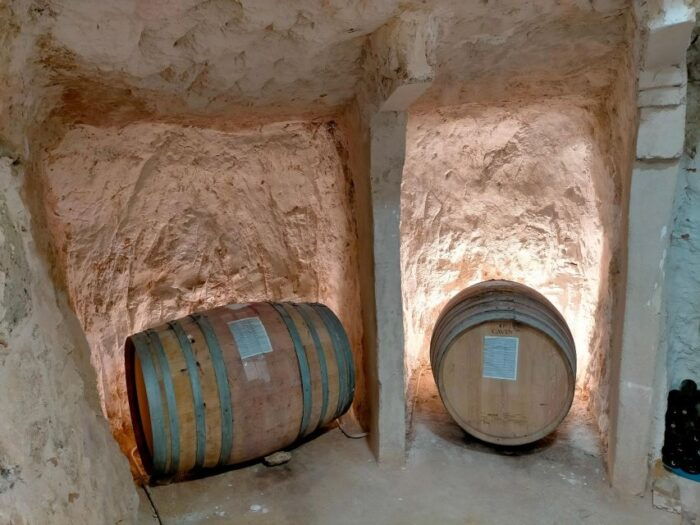 Ribera Del Duero: 2 Winery Visits and Transport From Madrid - Customer Feedback