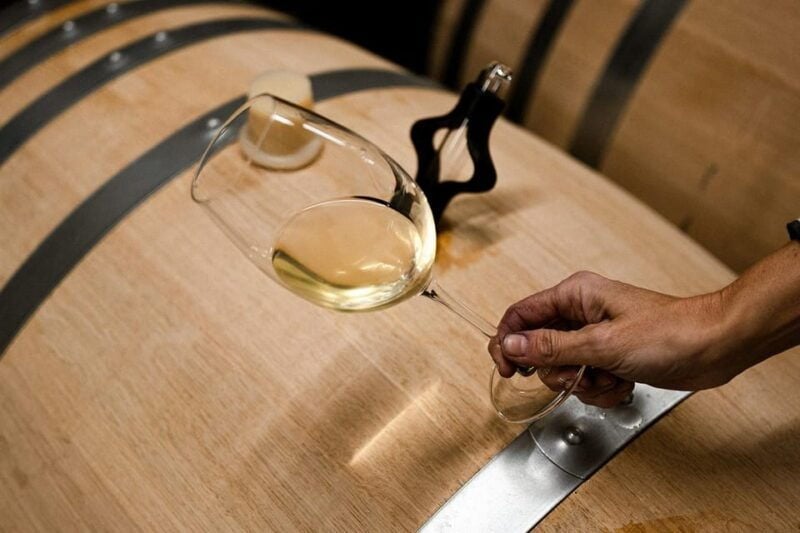 Ribera Del Duero: Experience, Vineyard and 4x4 Mountain, Aperitif and Tasting. - Good To Know