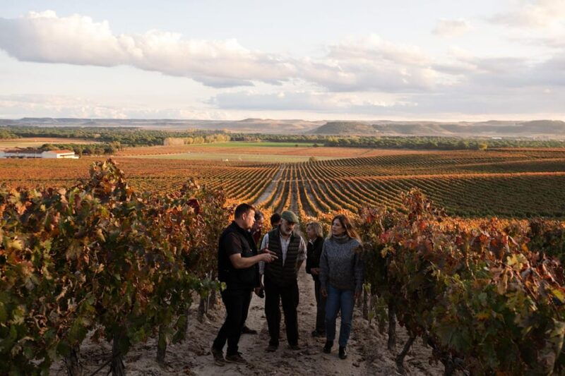 Ribera Del Duero: Experience, Vineyard and 4x4 Mountain, Aperitif and Tasting. - Itinerary and Activities